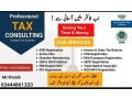 consultancy-services-in-korangi-karachi-small-0