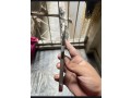 12-pro-max-urgent-sale-in-islamabad-small-1