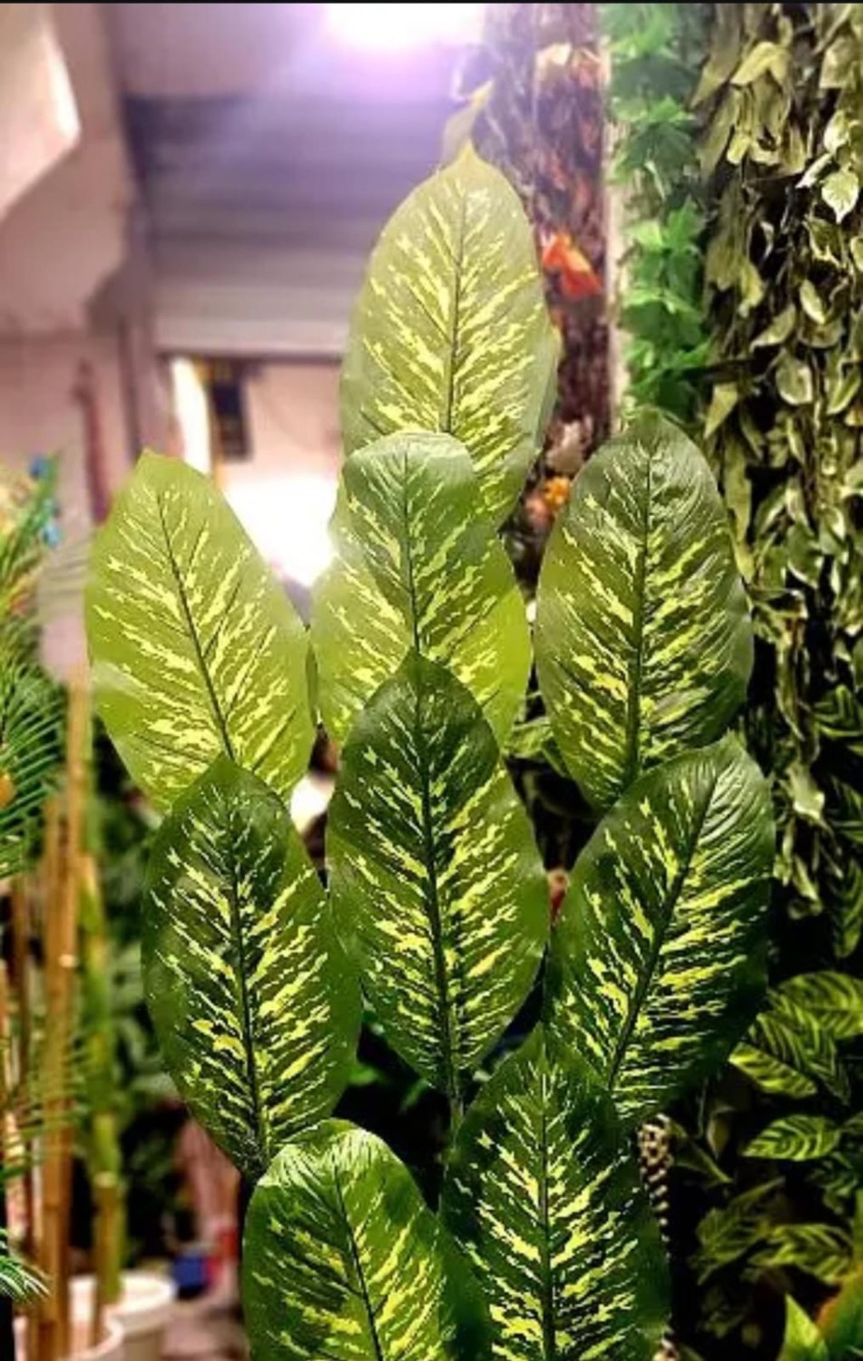 Artificial Plants And Flowers For Sale in Shah Alam Market Lahore