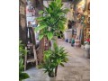 artificial-plants-and-flowers-for-sale-in-shah-alam-market-lahore-small-3