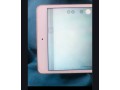ipad-mini-5-64gb-only-lines-see-in-2-pic-with-box-for-sale-in-rawalpindi-small-1