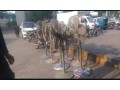fan-for-sale-in-daroghewala-lahore-small-1