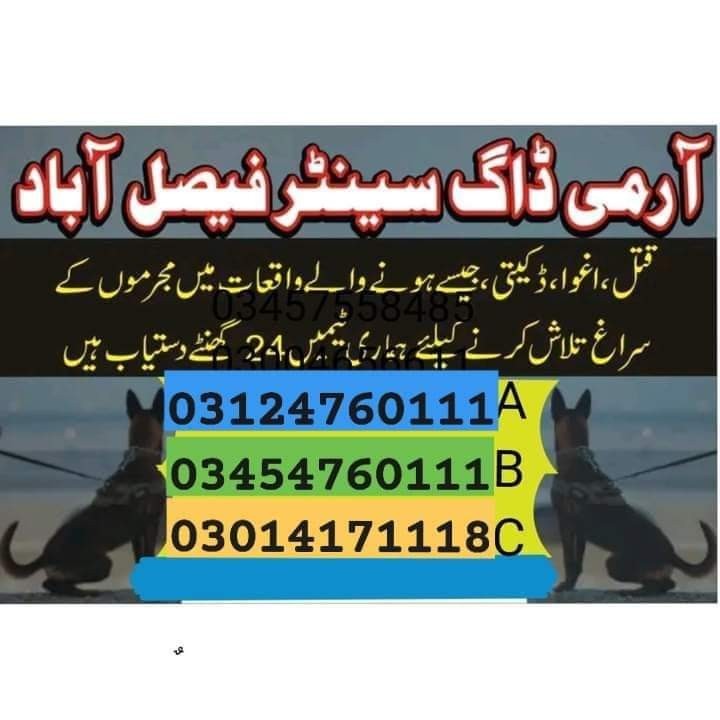 Army Dog Center Vehari 03454760111