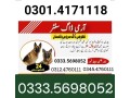 army-dog-center-sheikhupura-03454760111-small-0