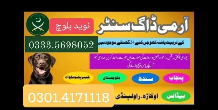 Army Dog Center Kasur 03454760111