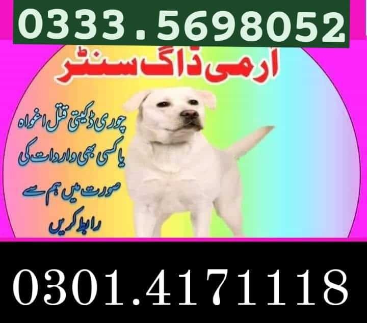 Army Dog Center Kasur 03454760111