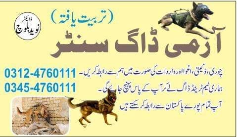 Army Dog Center Vehari 03454760111