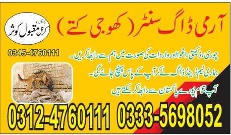 Army Dog Center Islamabad 03335698052 03014171118