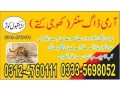 army-dog-center-islamabad-03335698052-03014171118-small-0