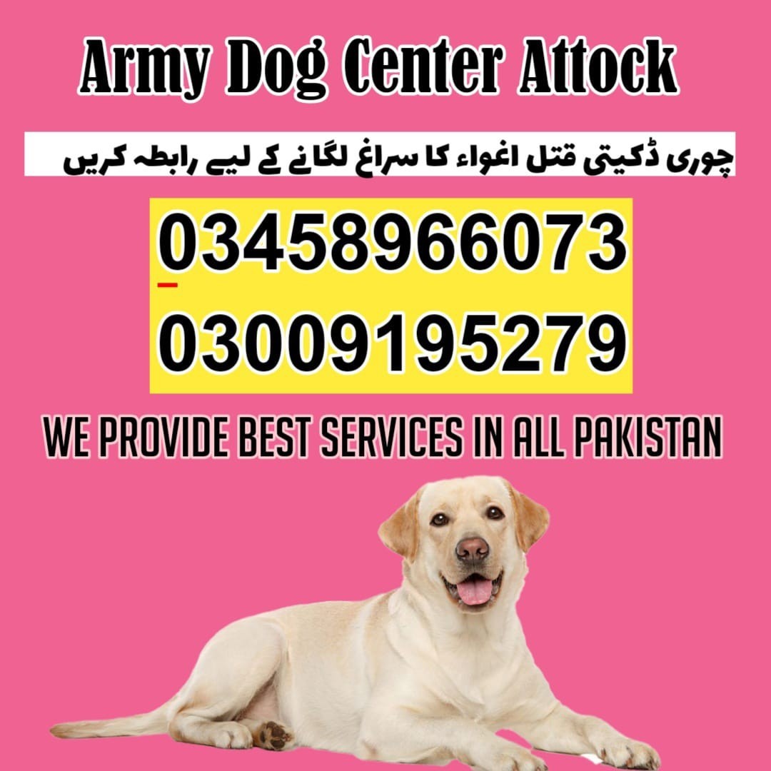 Special Army Dog Center Attock | 03018665280