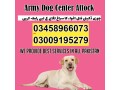 special-army-dog-center-attock-03018665280-small-0