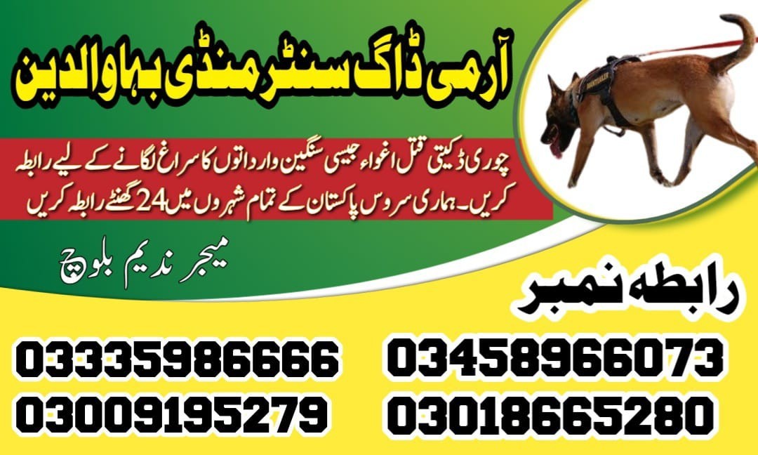 Special Army Dog Center Mandi Bahauddin | 03458966073