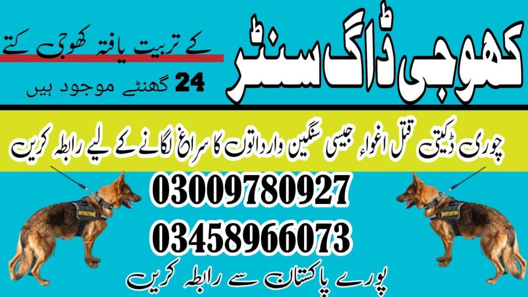 Army Dog Center Sukkur | 03458966073 | Khoji Dogs