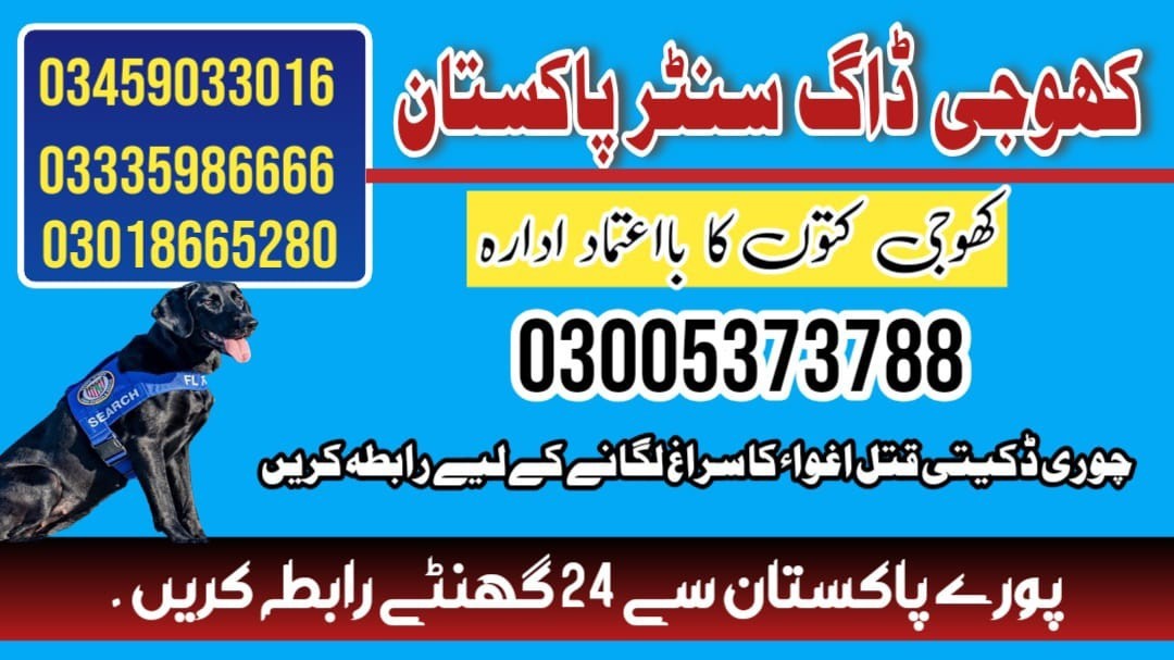 Army Dog Center Taxila | 03018665280 | Army Trained Khoji Dogs