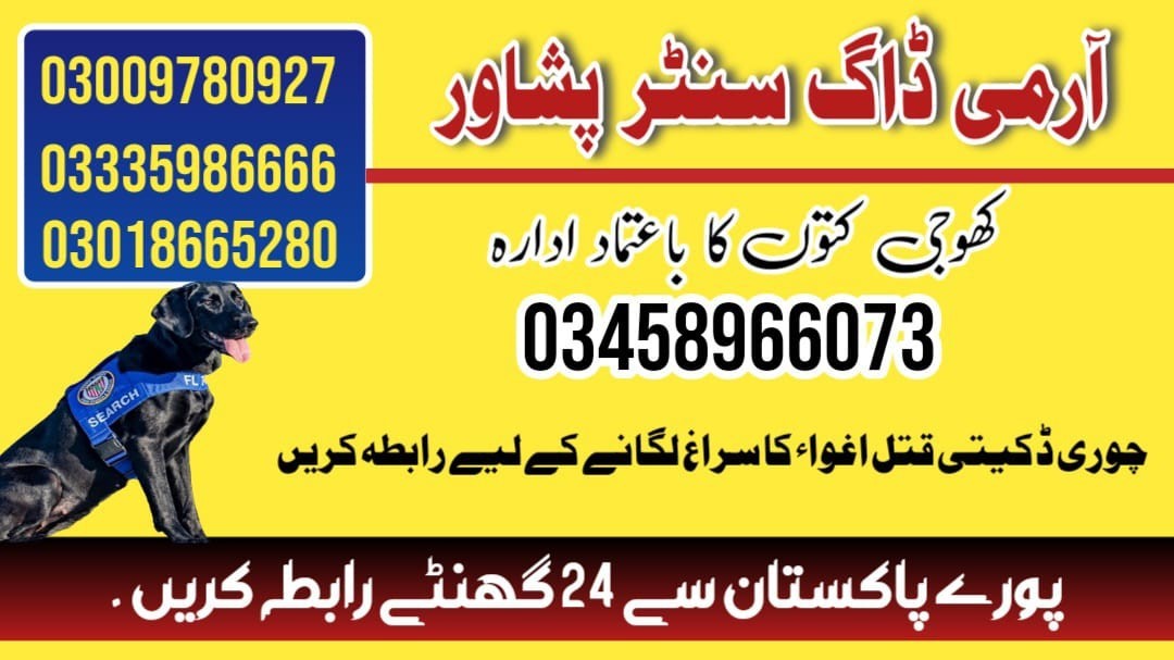 Special Army Dog Center Peshawar 03009195279