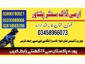 special-army-dog-center-peshawar-03009195279-small-0