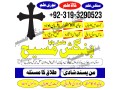 no1-service-posto-amil-baba-kala-jadu-specialist-small-0