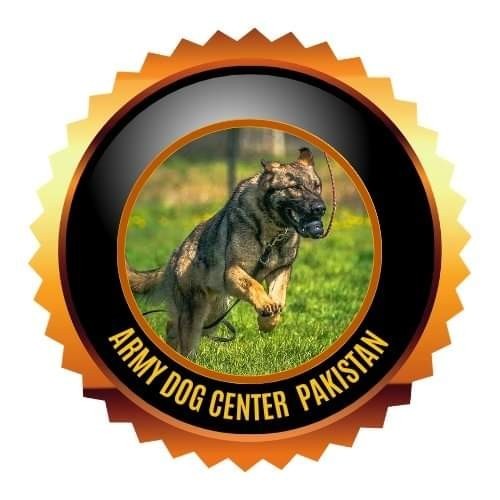 Army dog center hyderabad 0349-1997297