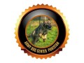 army-dog-center-hyderabad-0349-1997297-small-0