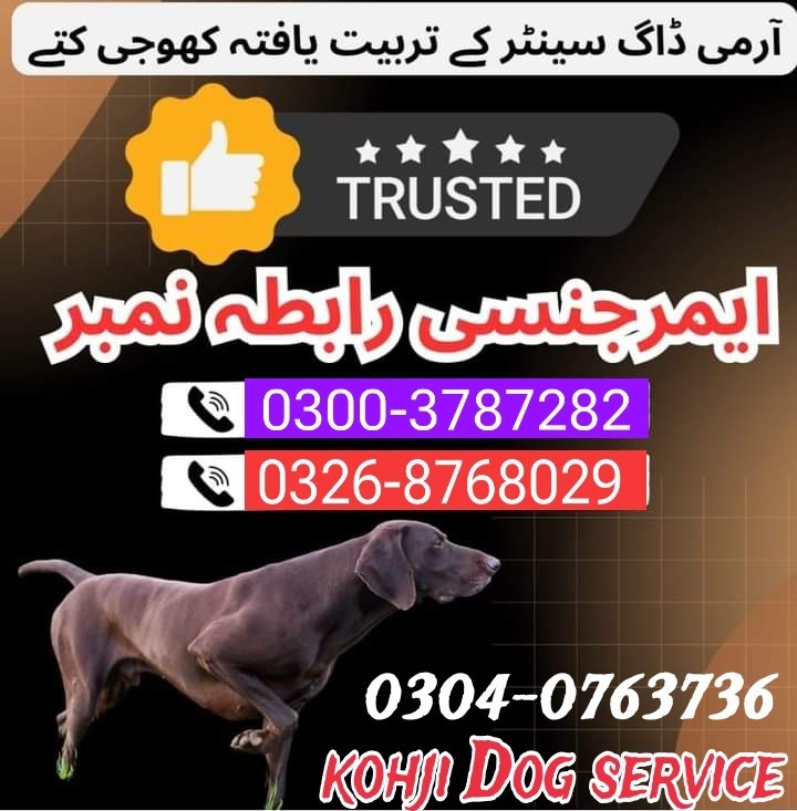 Army dog center thatta 0326-8768029