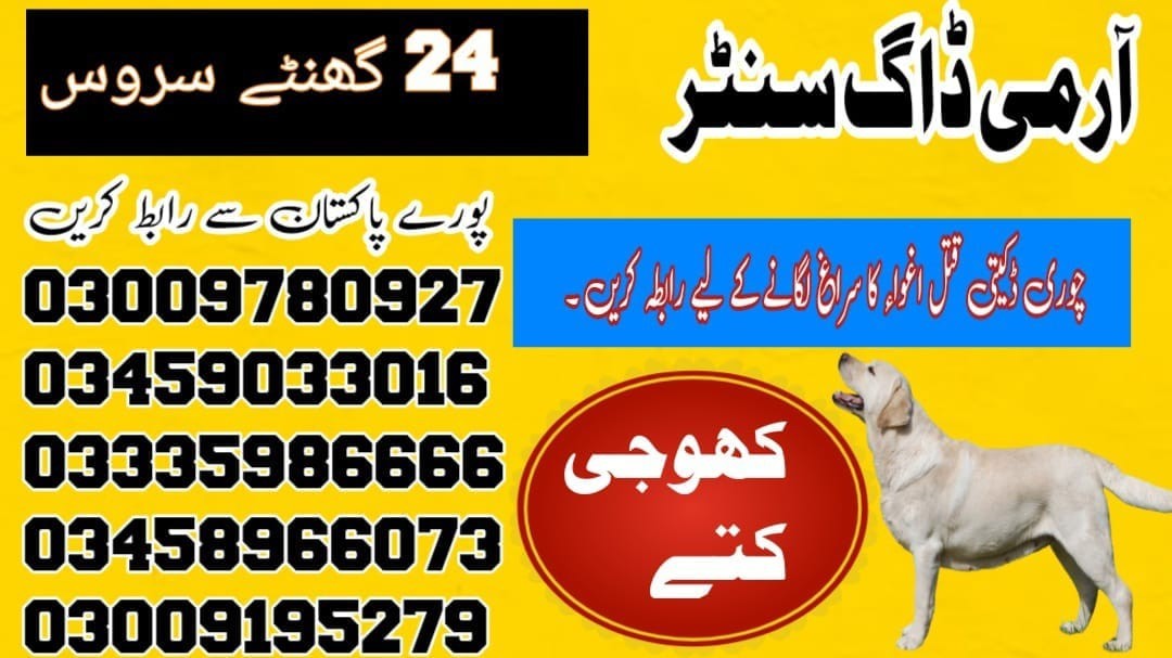 Army Dog Center Okara | 03458966073 | Khoji Dogs In Okara