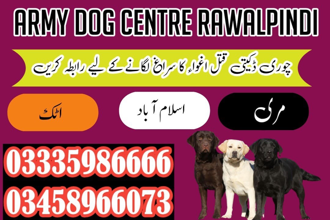 Army Dog Center Rawalpindi | 03005373788 | Special Khoji Dogs In Rawalpindi