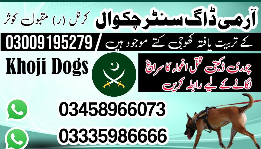 Army Dog Center Gujar Khan | 03458966073