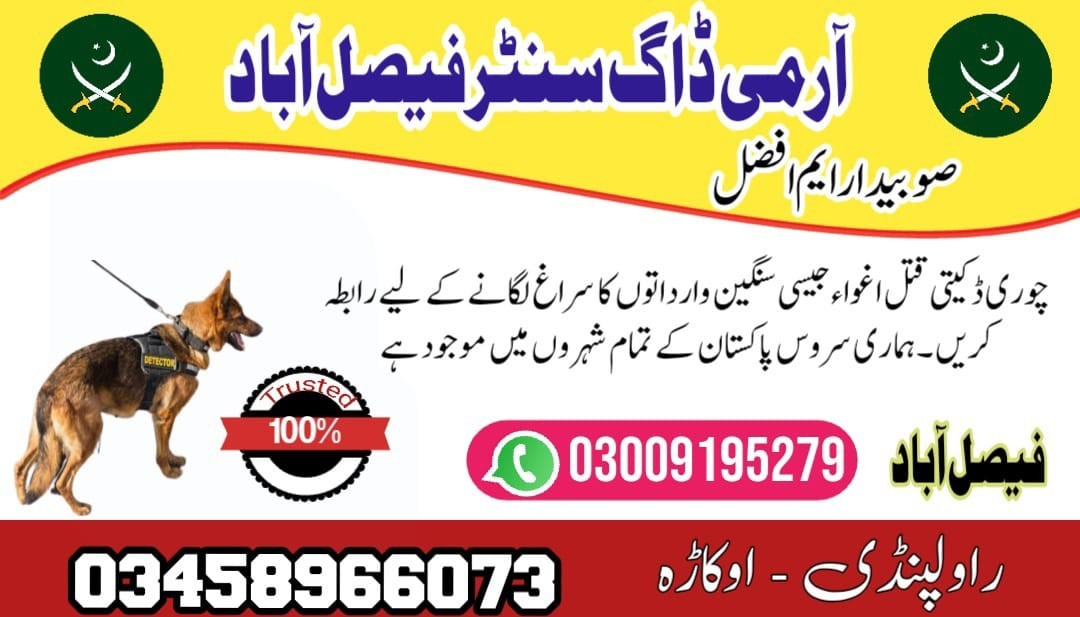 Army Dog Center Faisalabad | 03458866073