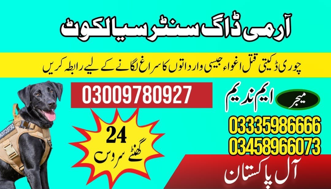 Army Dog Center Sialkot | 03018665280 | Khoji Dogs In Sialkot