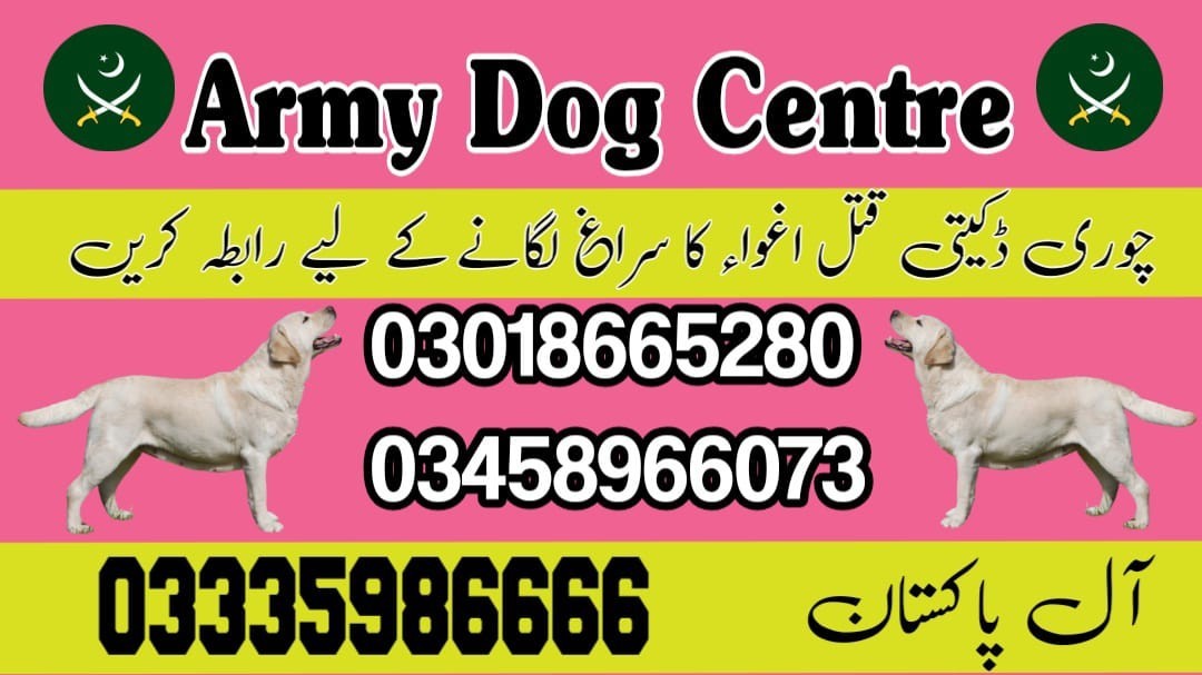 Army Dog Center Muzaffarabad | 03458966073