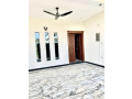 brand-new-beautiful-luxurious-marble-flooring-house-available-for-rent-in-d-123-small-0