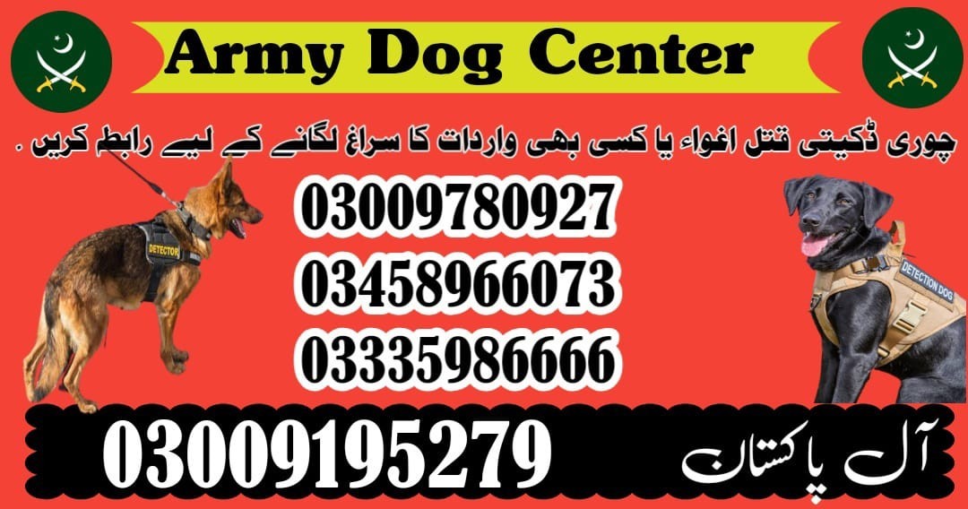 Army Dog Center Attock City | 03458966073 | SWO