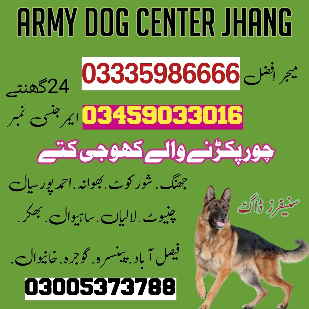 Army Dog Center Shorkot | 03335986666