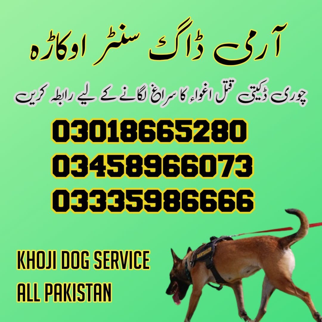 Army Dog Center Bhakkar | 03458966073 | Khoji Dogs In Bhakkar