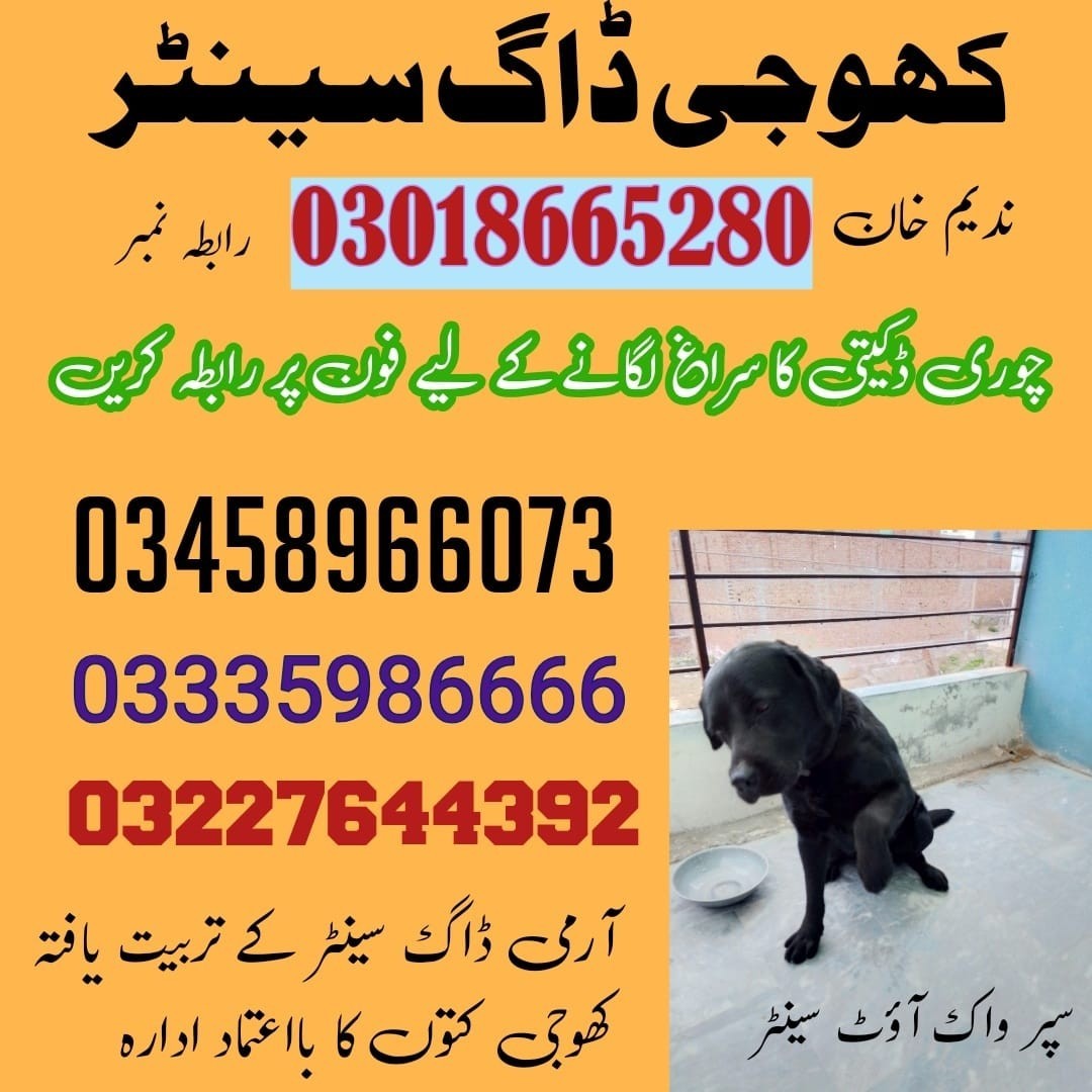 Army Dog Center Jand | 03458966073