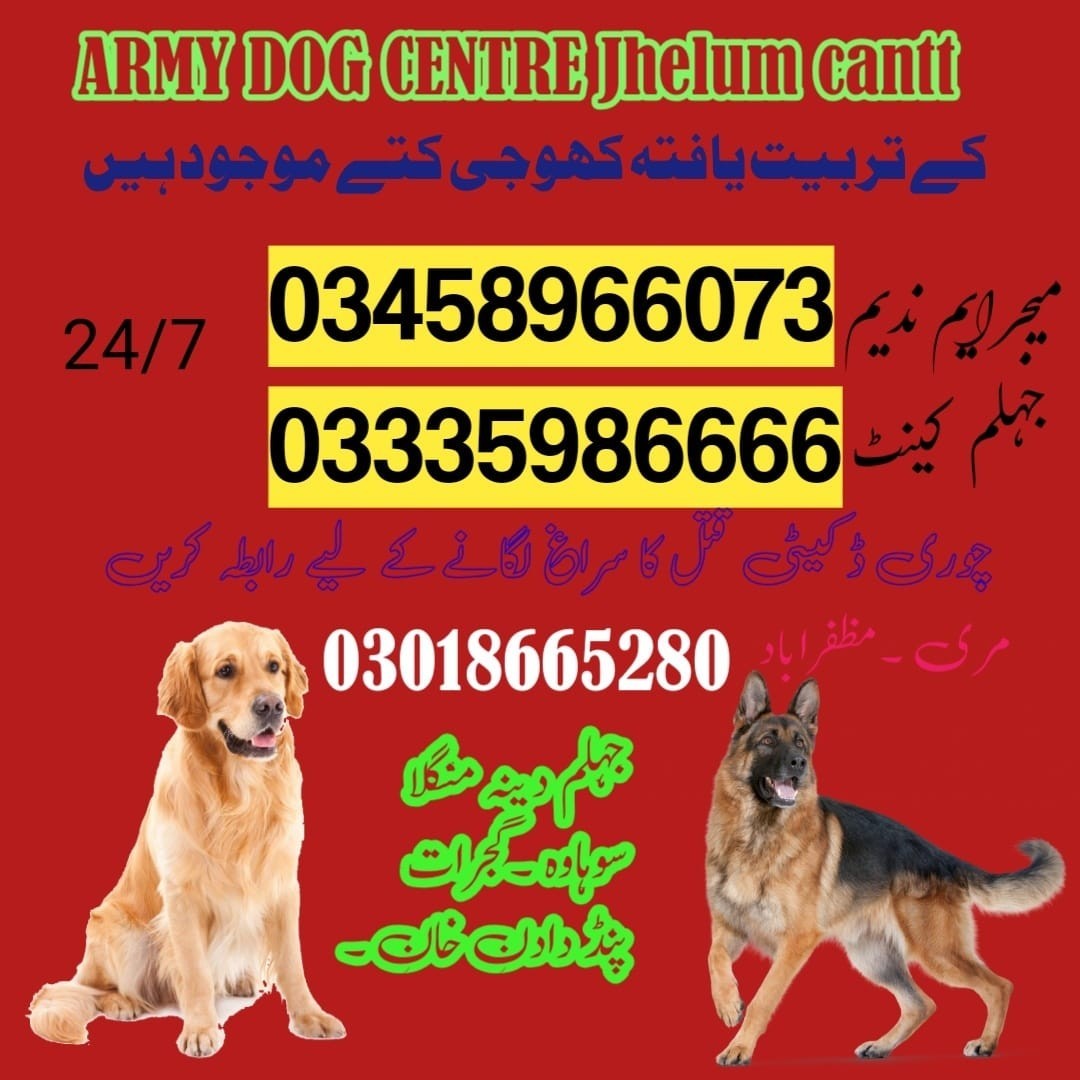 Army Dog Center Jhelum Cantt 03458966073