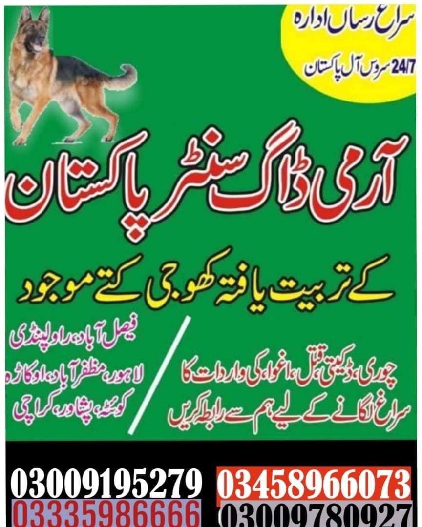 Army Dog Center Faisalabad | 03458966073 | Faisalabad City