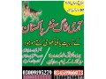 army-dog-center-faisalabad-03458966073-faisalabad-city-small-0