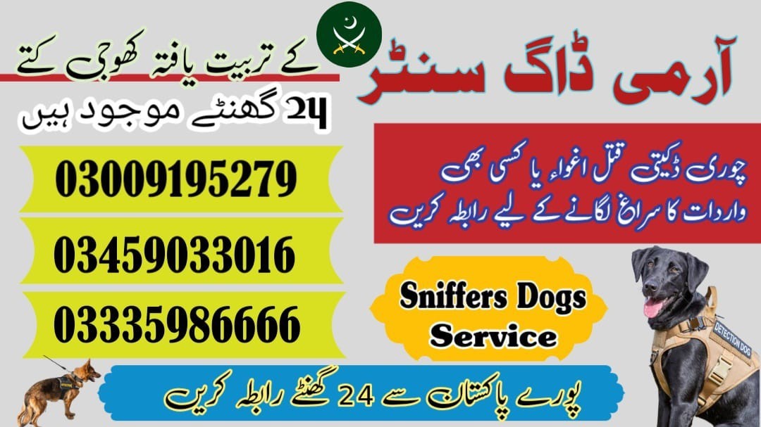 Army Dog Center Abbottabad | 03458966073