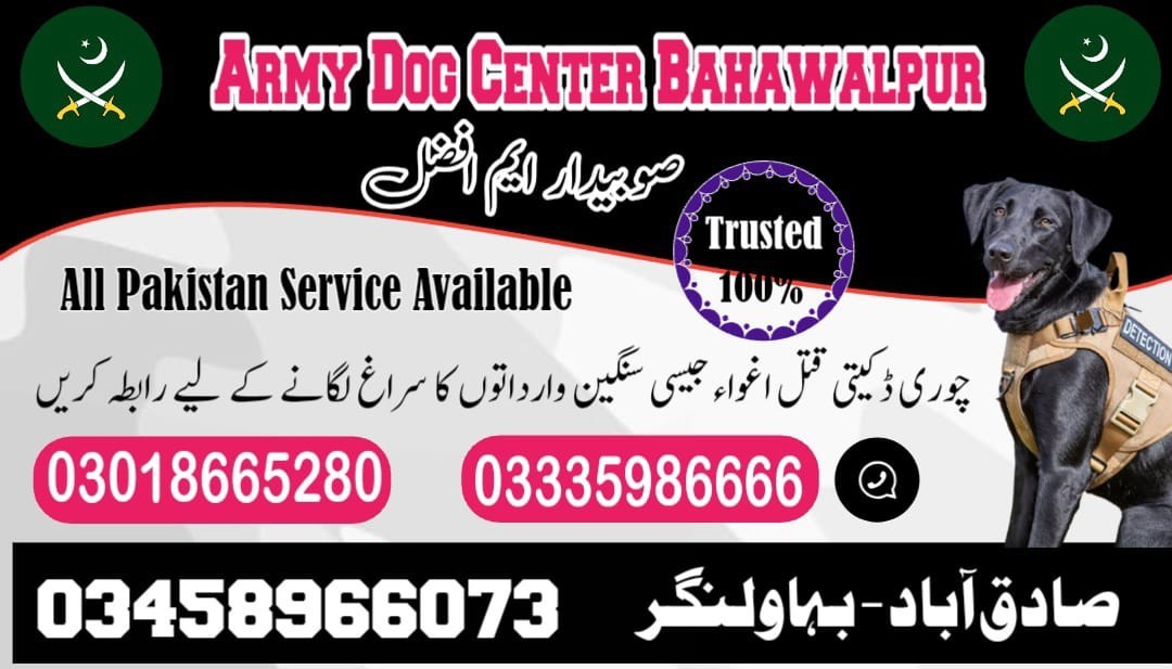 Army Dog Center Bahawalpur | 03458966073 | K9