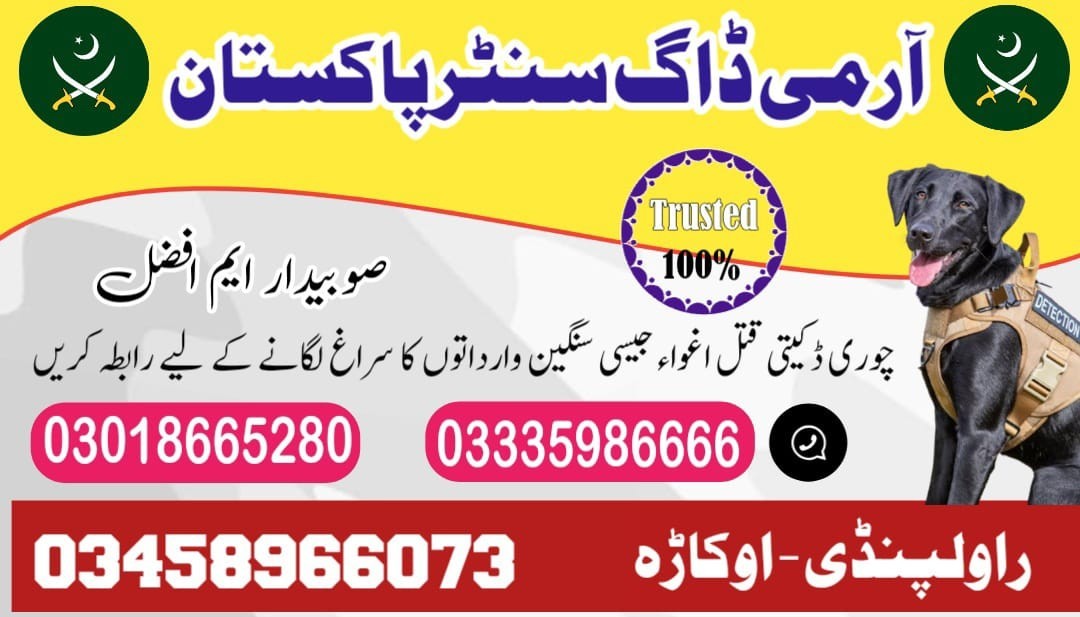 Army Dog Center Rahim Yar Khan 03458966073