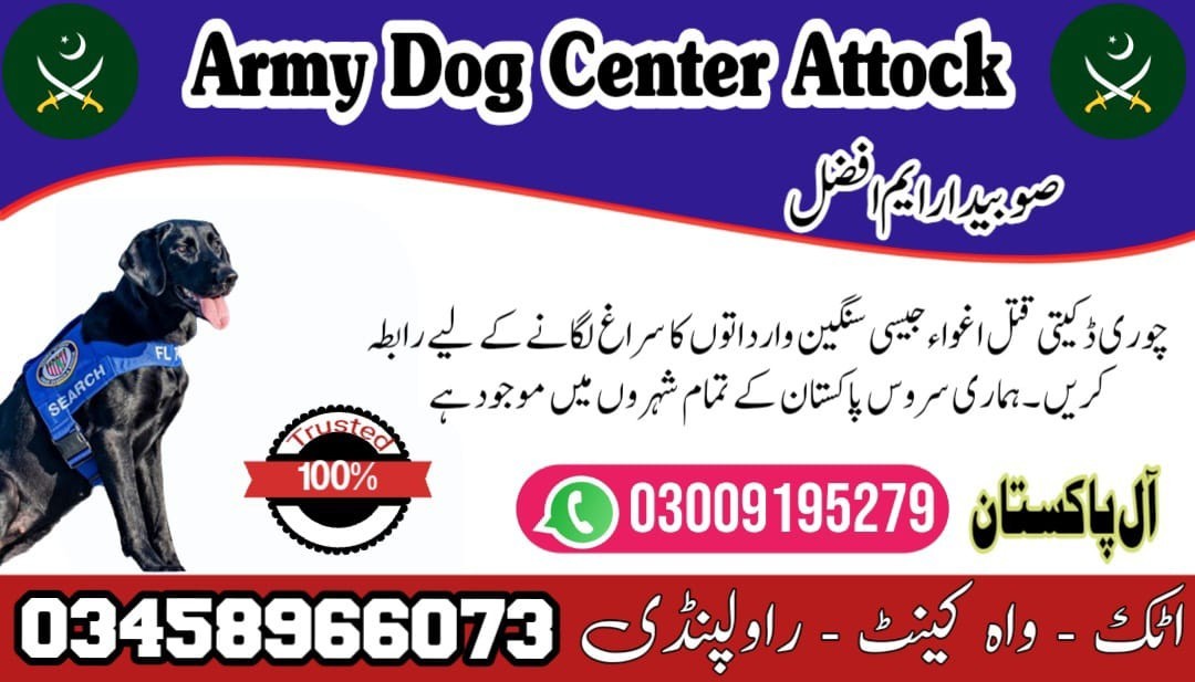 Army Dog Center Fateh Jang | 03458966073