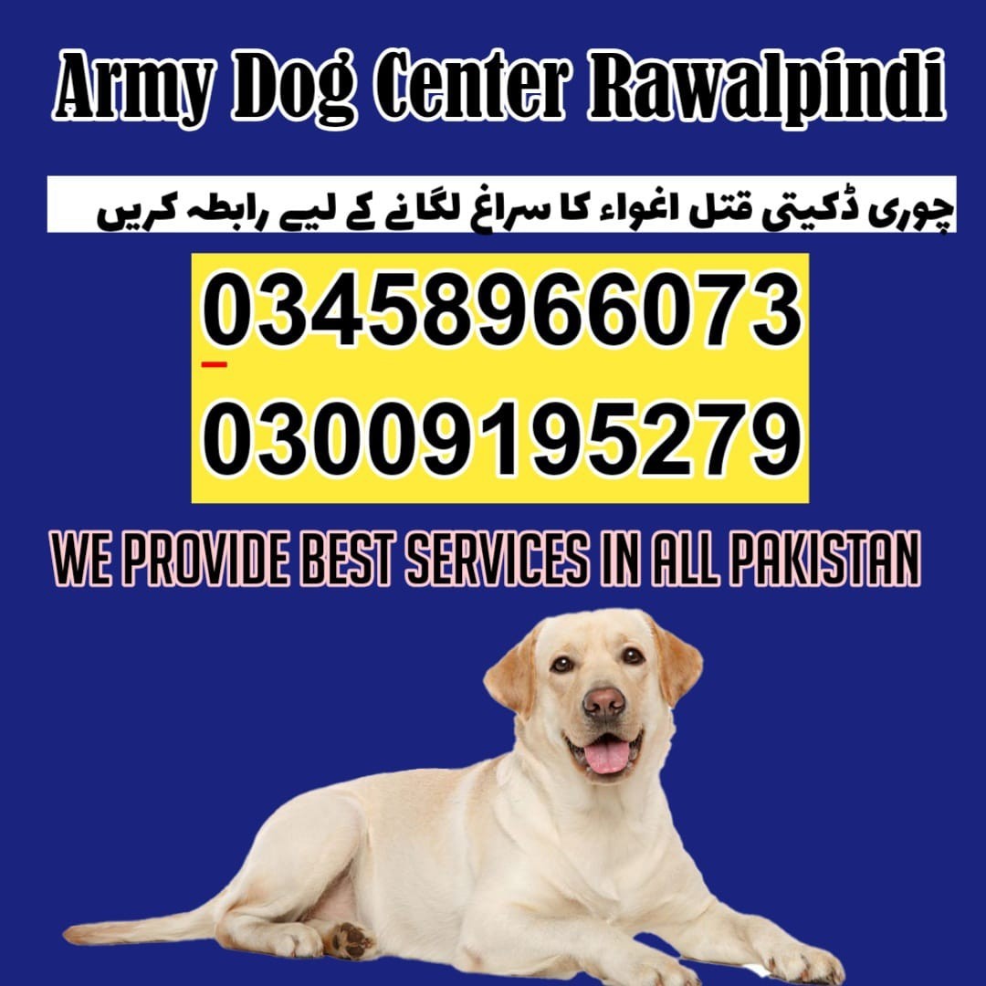 Army Dog Center Rawalpindi | 03018665280