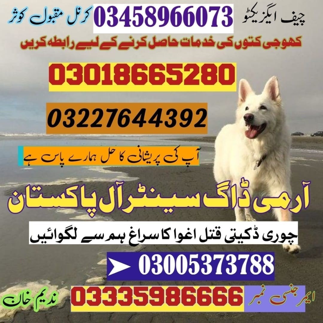 Army Dog Center Pakpattan | 03018665280