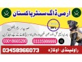 army-dog-center-arifwala-03009195279-small-0