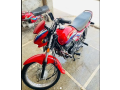 honda-pridor-100cc-red-colour-2016-model-small-1