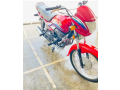 honda-pridor-100cc-red-colour-2016-model-small-0