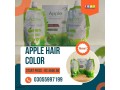 apple-hair-color-price-in-multan-03055997199-small-0