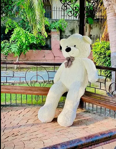 All Types of Teddy bears available in different sizes/different color