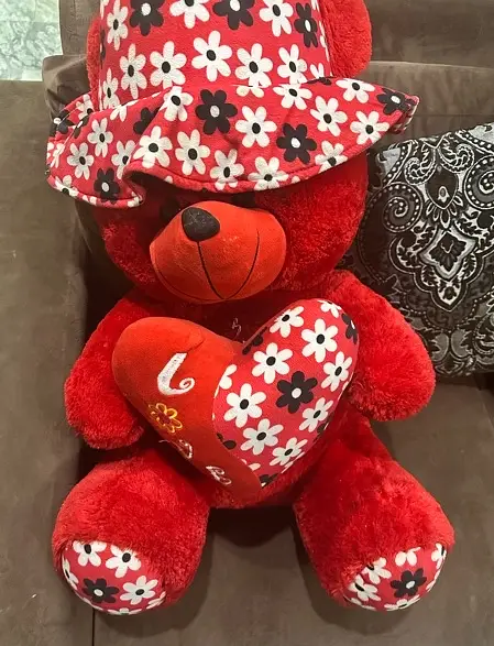 Stuffed Toy Teddy Bear Red Colour